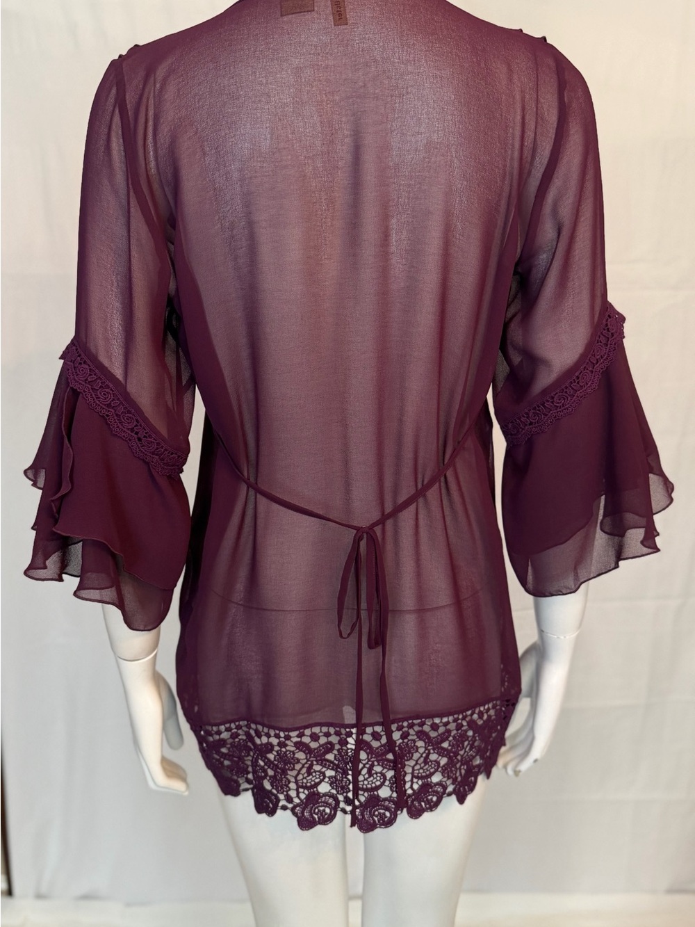 Sheer Ruffle Lace-Trim Blouse in Plum - Picture 6 of 7
